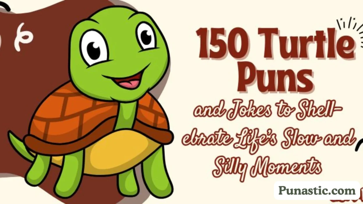 turtle puns