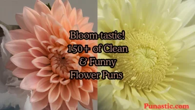 Bloom-tastic! 150+ of Clean & Funny Flower Puns 🌸😂